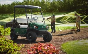 Golf Utility Vehicles